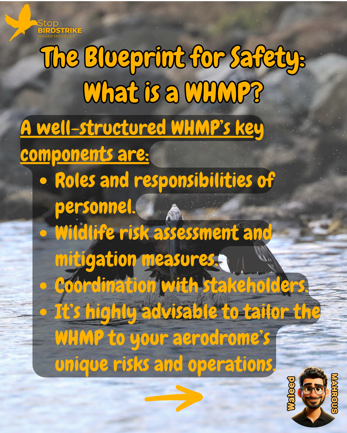 ICAO Doc. 9137 - Chapter 9, WHMP, Streamlined