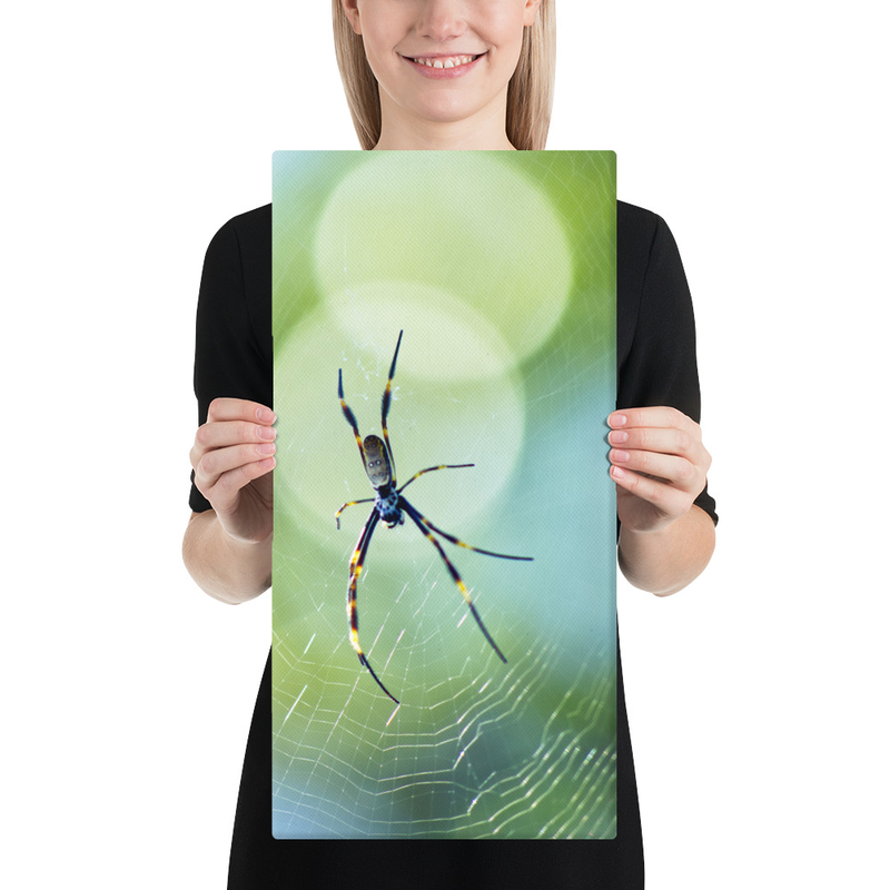 Golden Orbs behind the Golden Orb