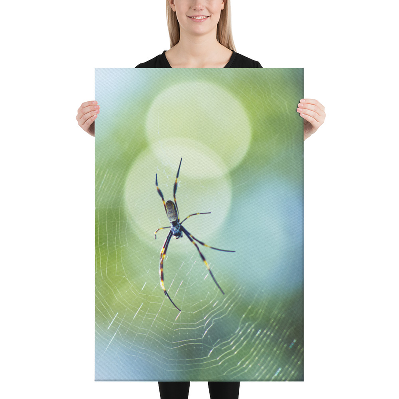 Golden Orbs behind the Golden Orb