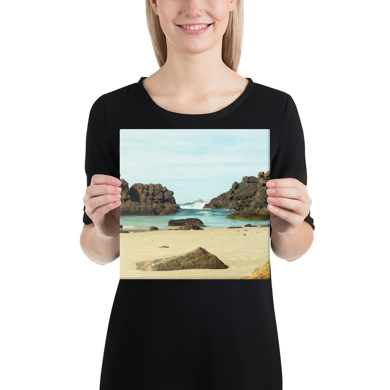 Pointing to Seal Rocks