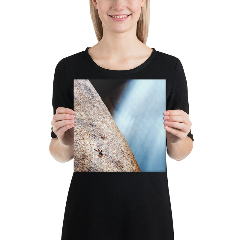 Dragonfly and the Waterfall