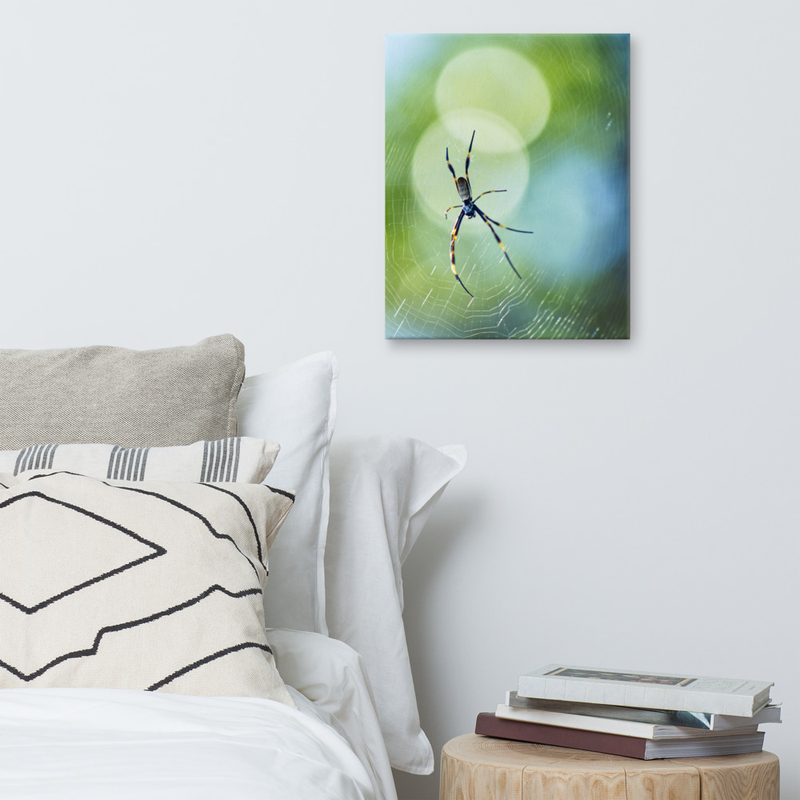 Golden Orbs behind the Golden Orb