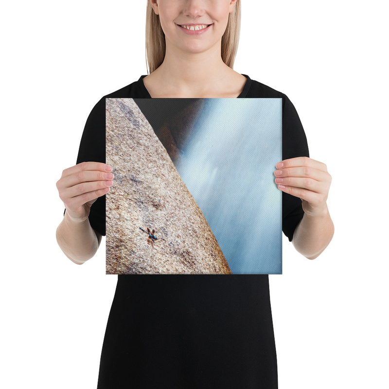 Dragonfly and the Waterfall