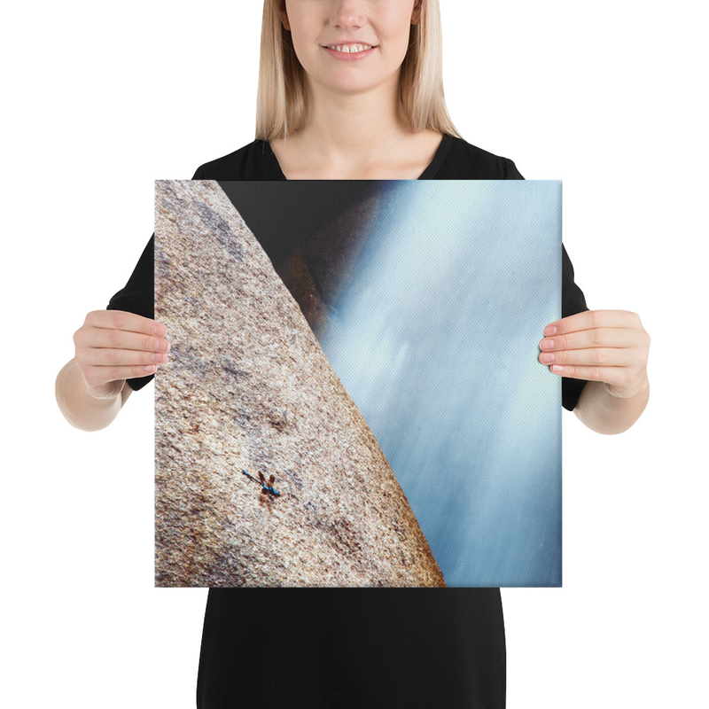 Dragonfly and the Waterfall