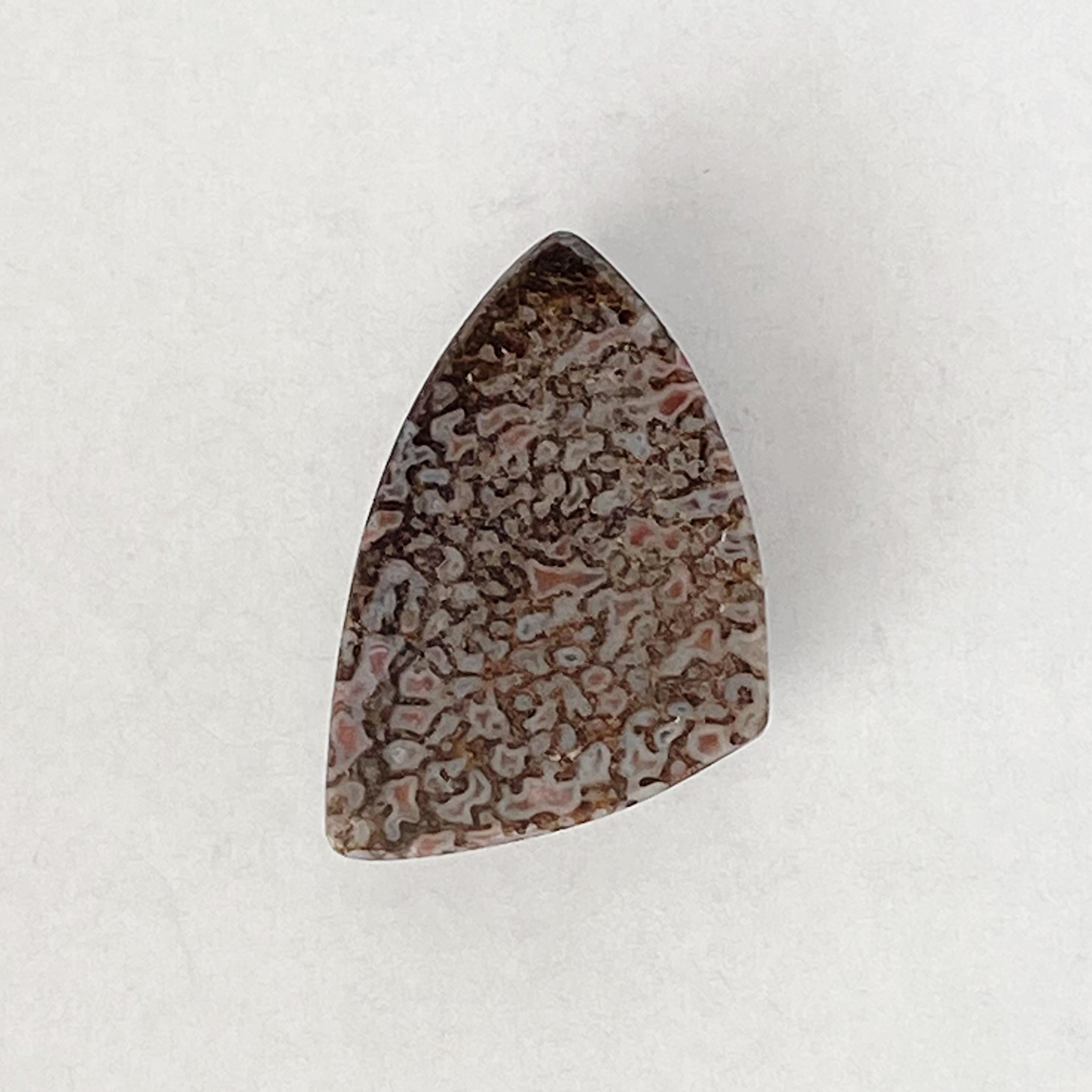 Dino Bone Cabochon