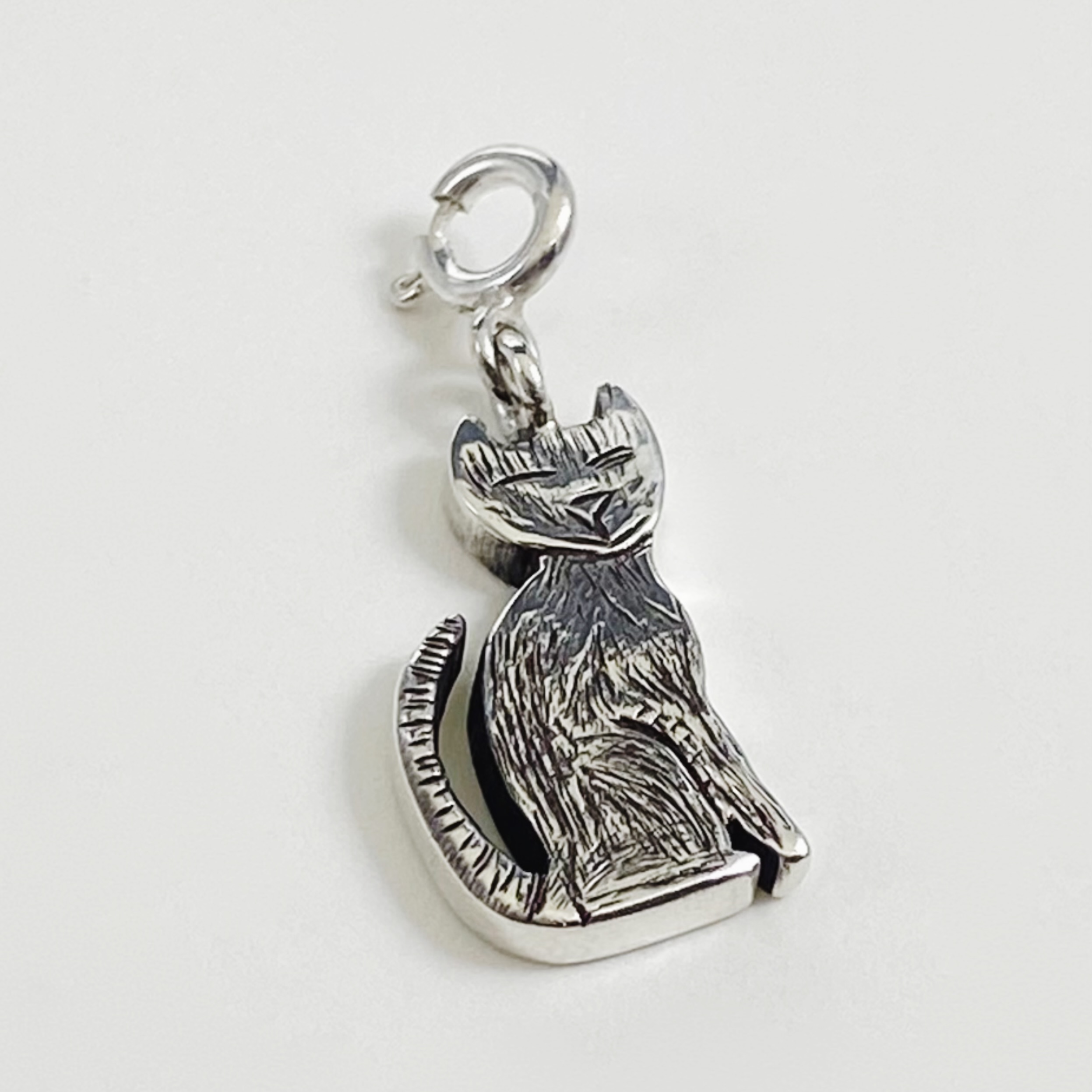 The Watcher’s Familiar Charm