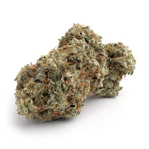 Jet Fuel OG - Hybrid / Indica