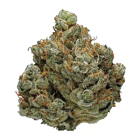 Jet Fuel OG - Hybrid / Indica