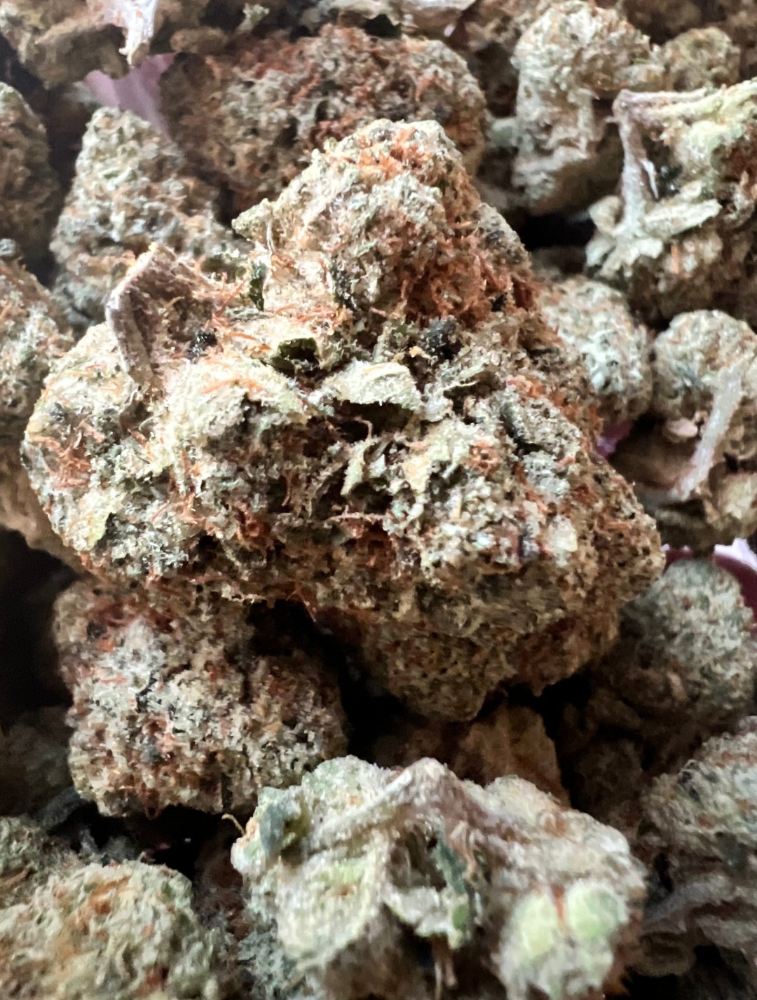 Alien OG - Indica