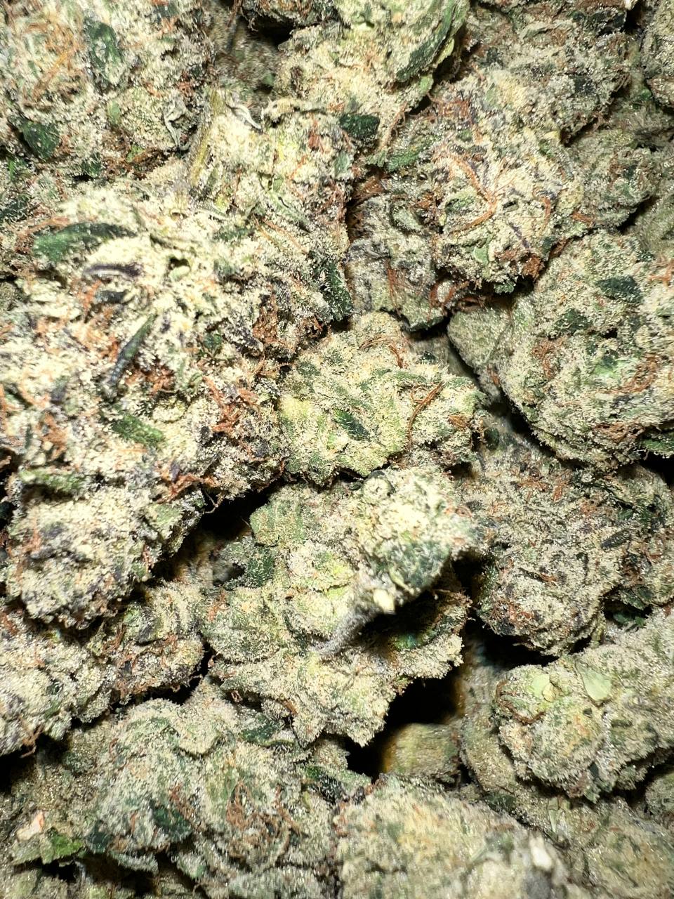 Cherry Gas Pop - Indica