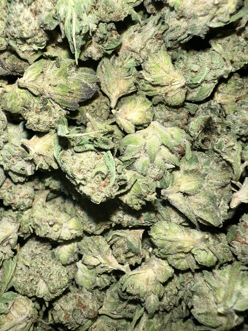 Oreos Smalls - Hybrid