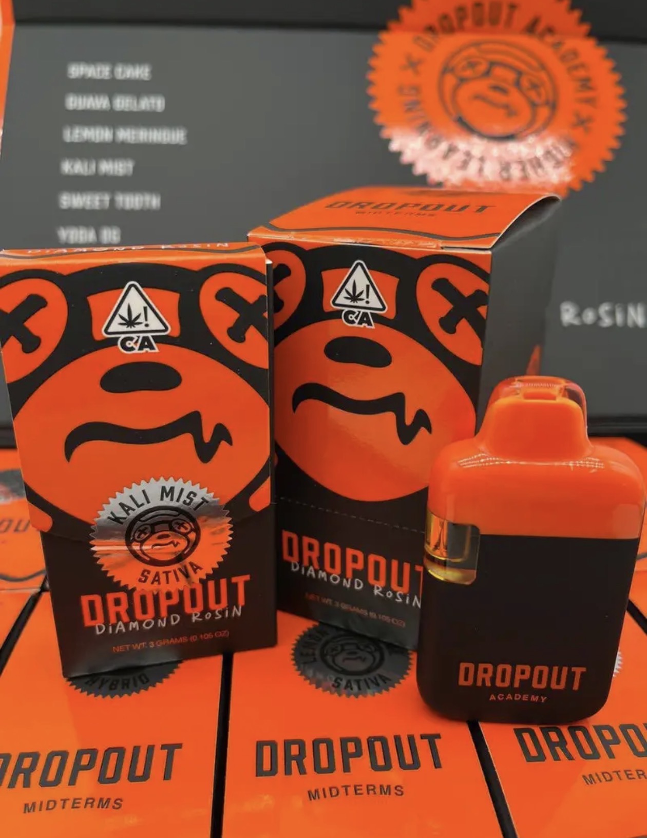 Dropout Academy - Disposable Vape - 3.5 Grams