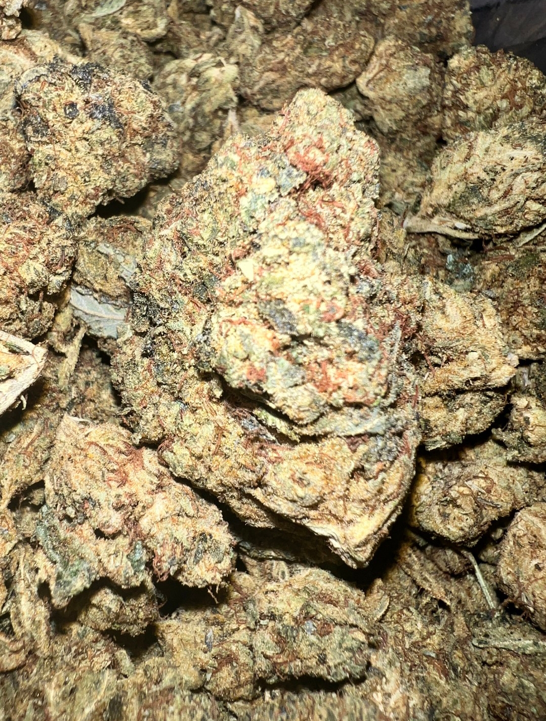 Blackberry Kush - Indica