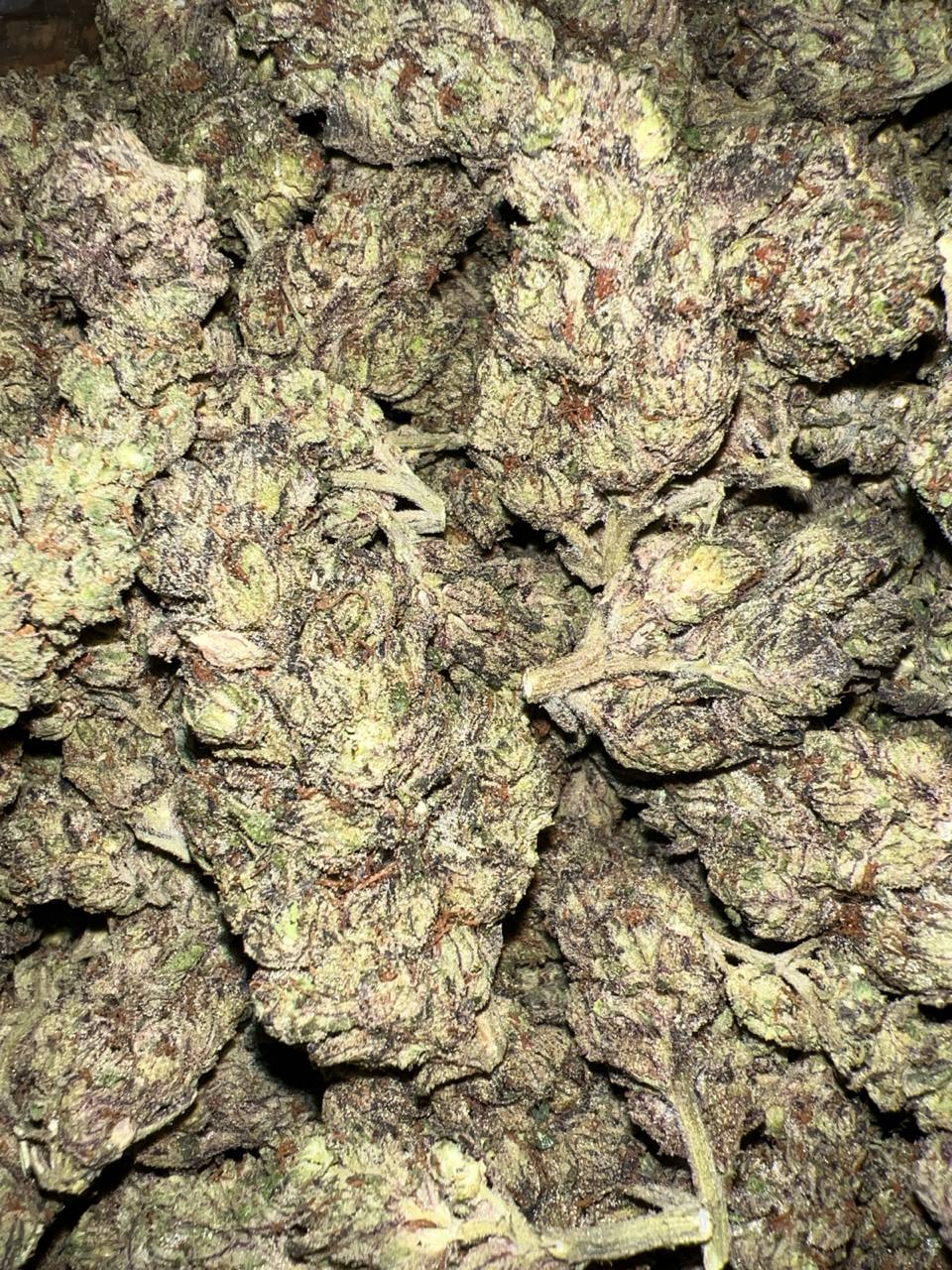 Black Runtz - Hybrid