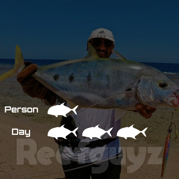 Three Days (1 person Trip)