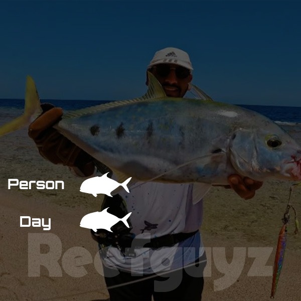 One Day (1 person Trip)