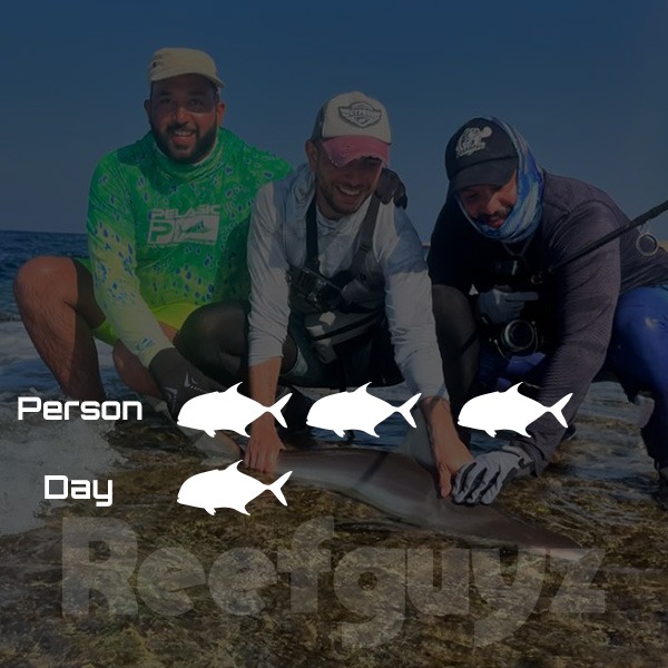 One Day (3 person Trip)