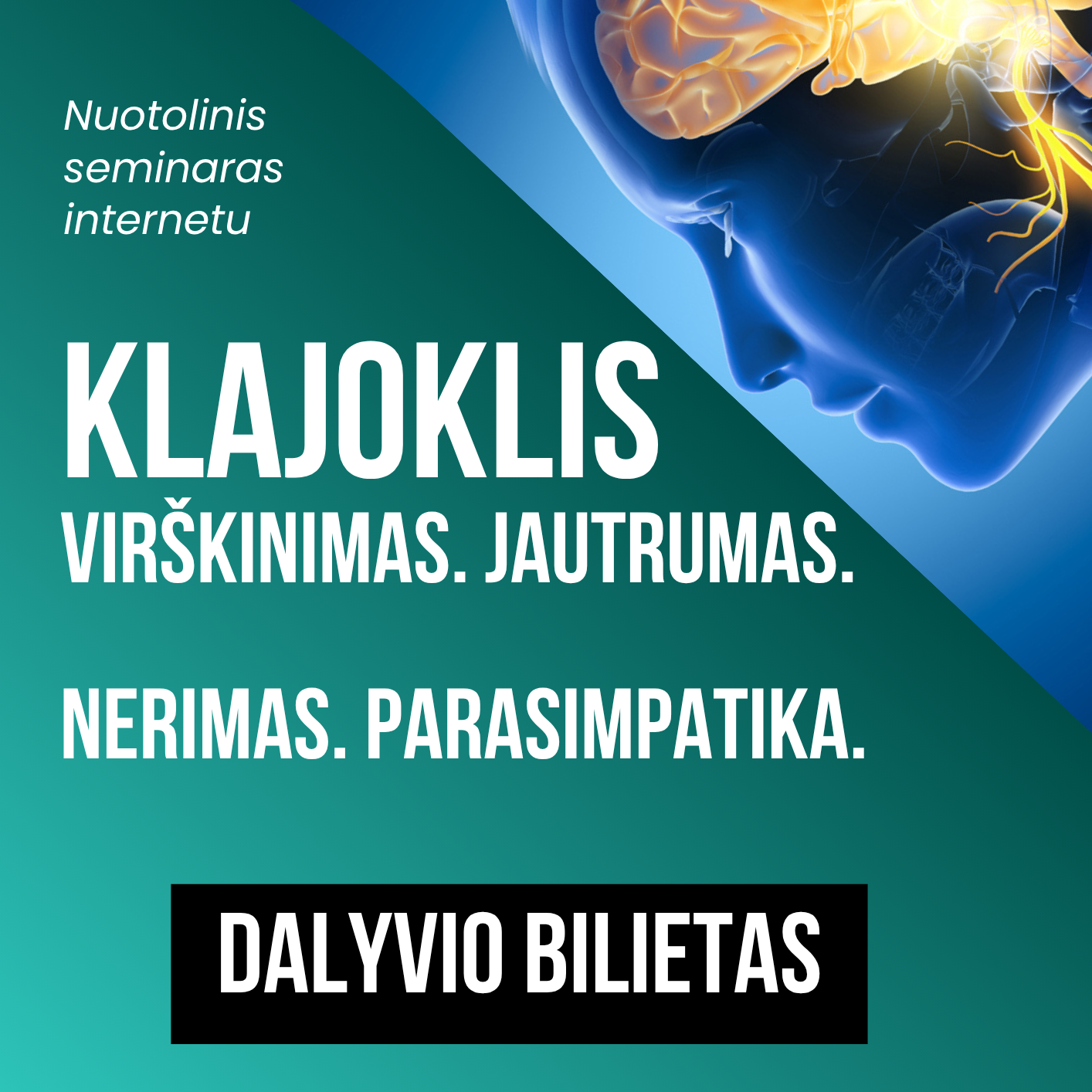 Klajoklio nervo vebinaras - nuotoliniai mokymai 