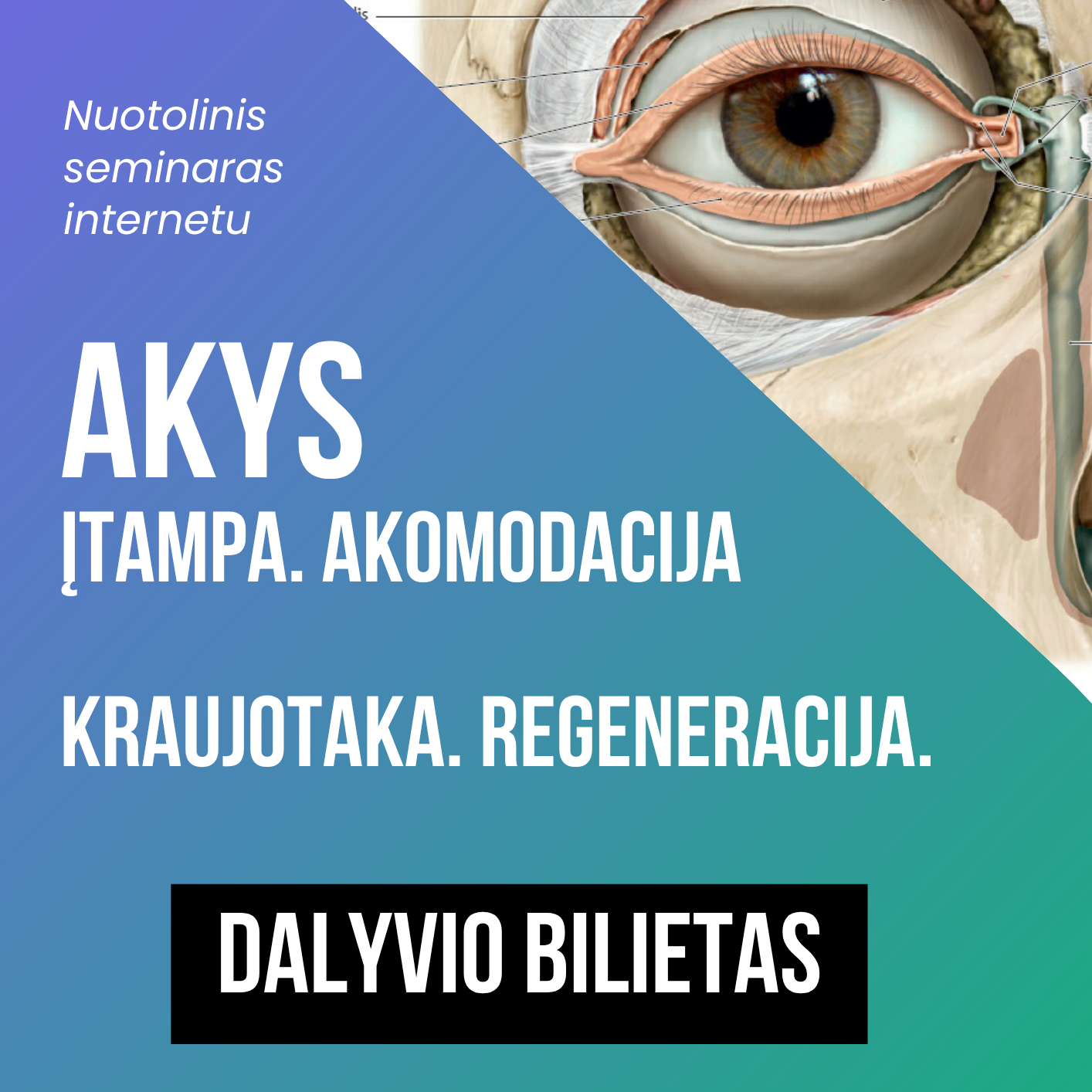 Akių vebinaras - nuotoliniai mokymai