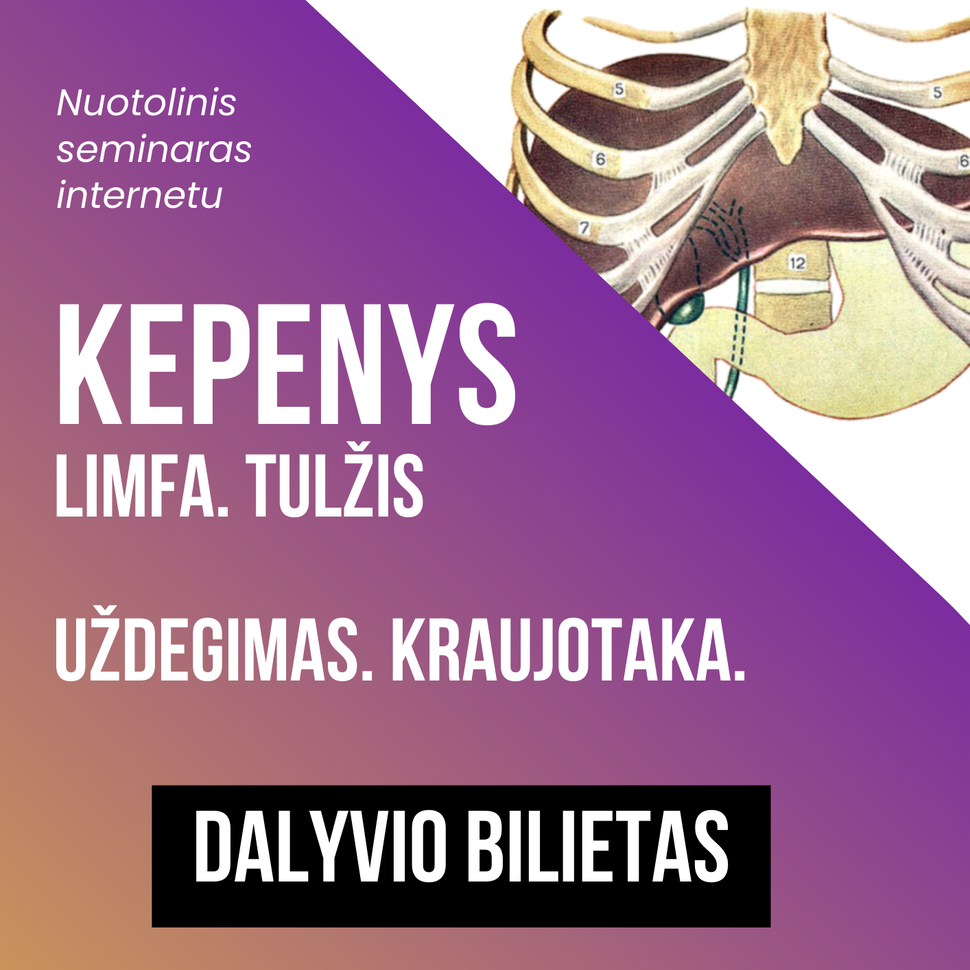 Kepenų vebinaras - nuotoliniai mokymai