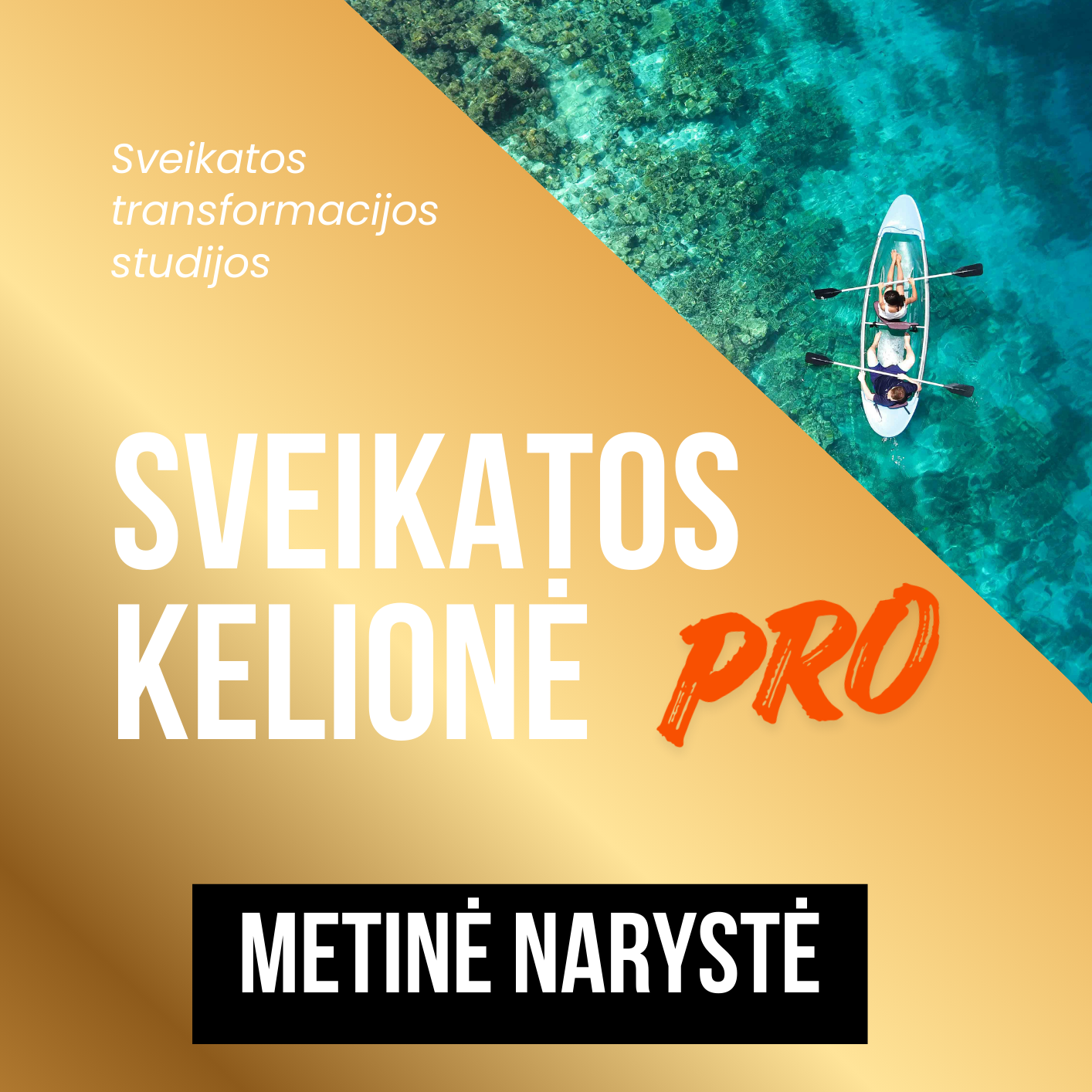 Sveikatos kelionė PRO - metinė narystė 