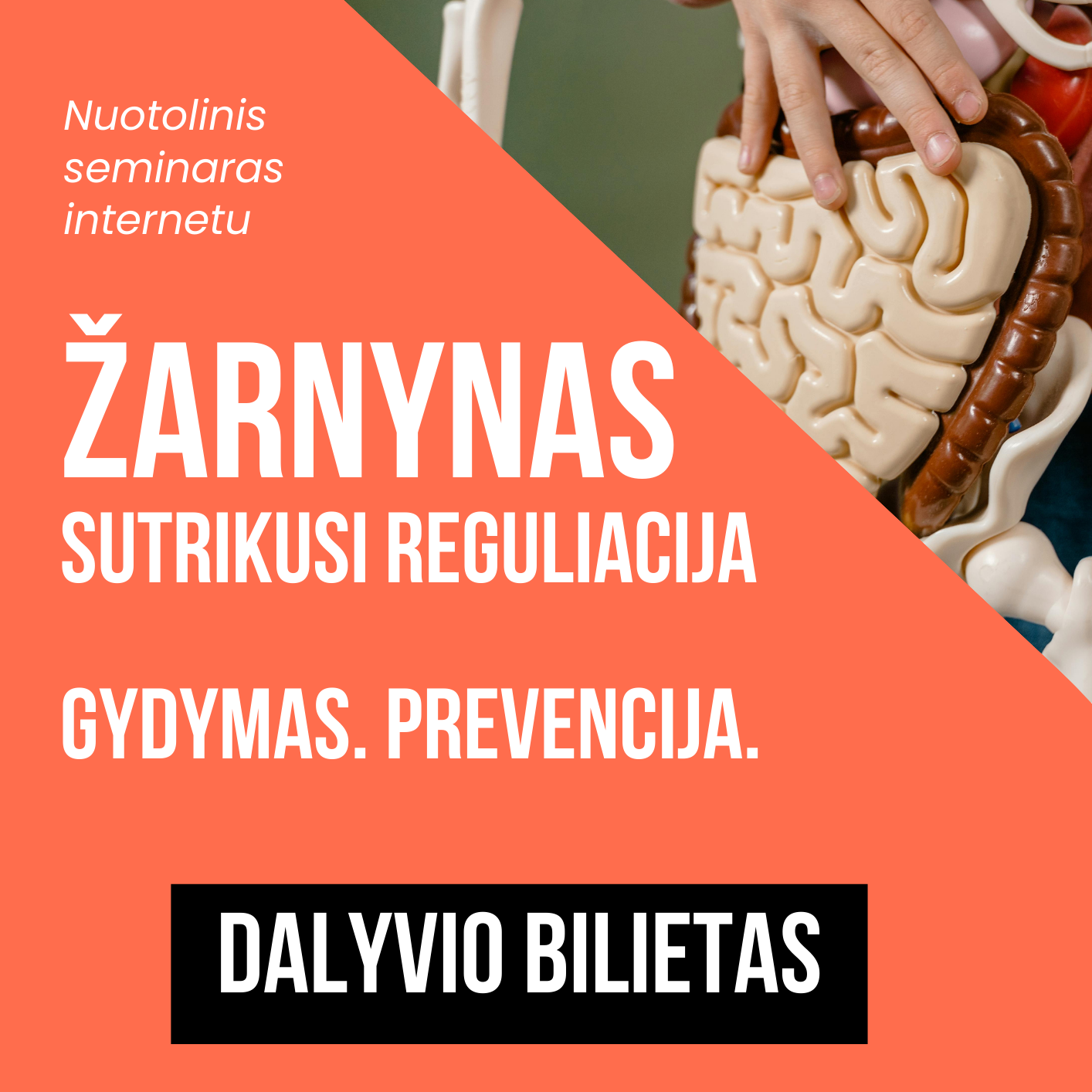 Žarnyno vebinaras - nuotoliniai mokymai 