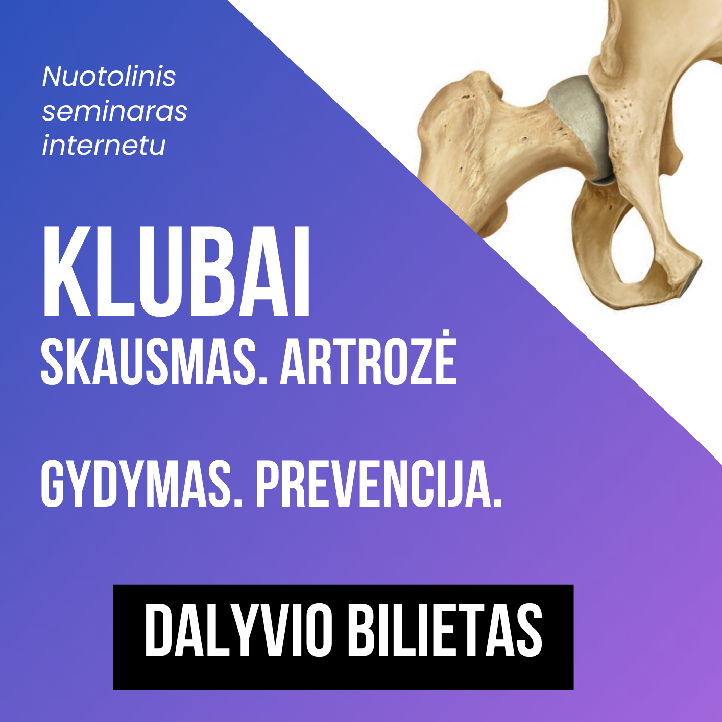 Klubų vebinaras - nuotoliniai mokymai 