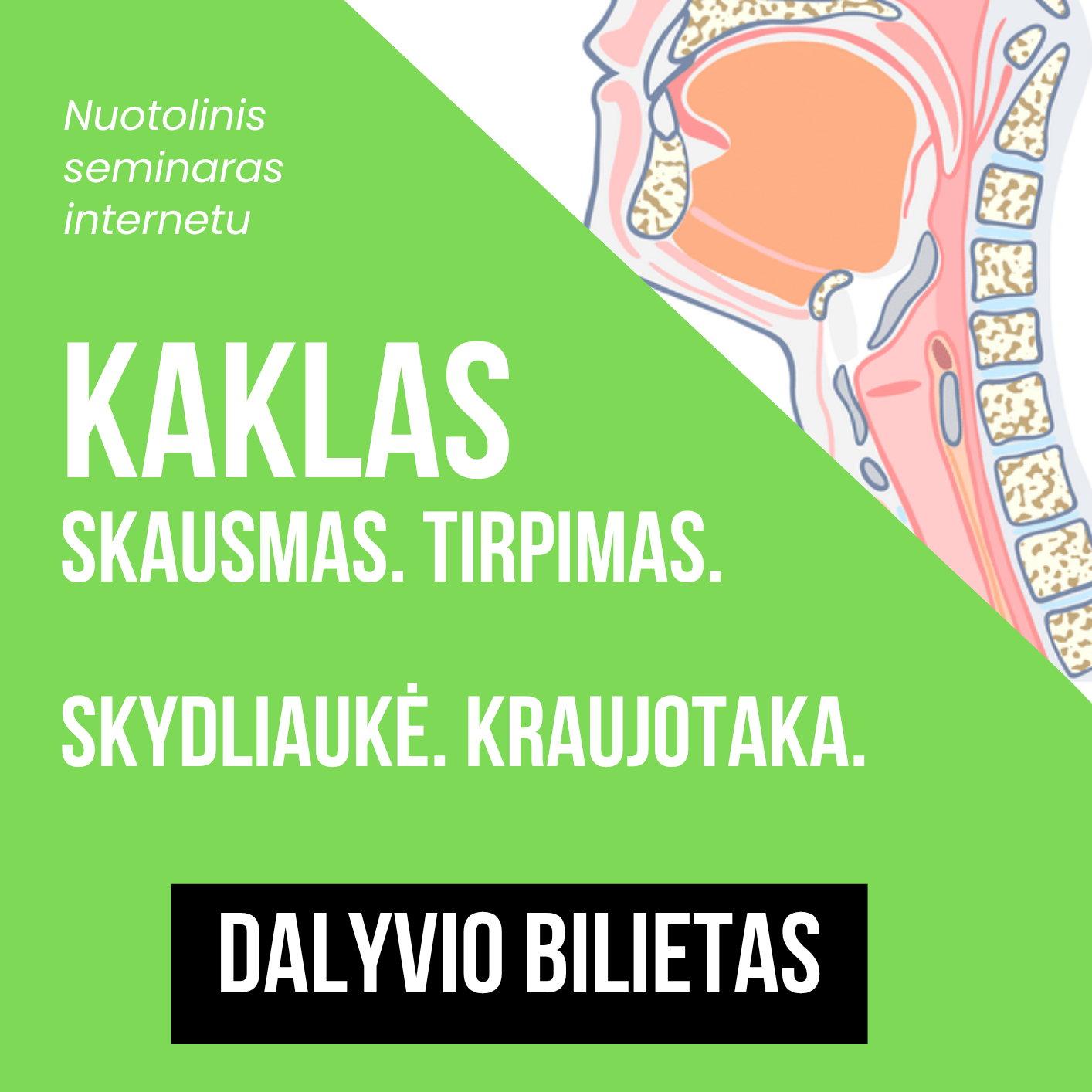 Kaklo vebinaras - nuotoliniai mokymai 