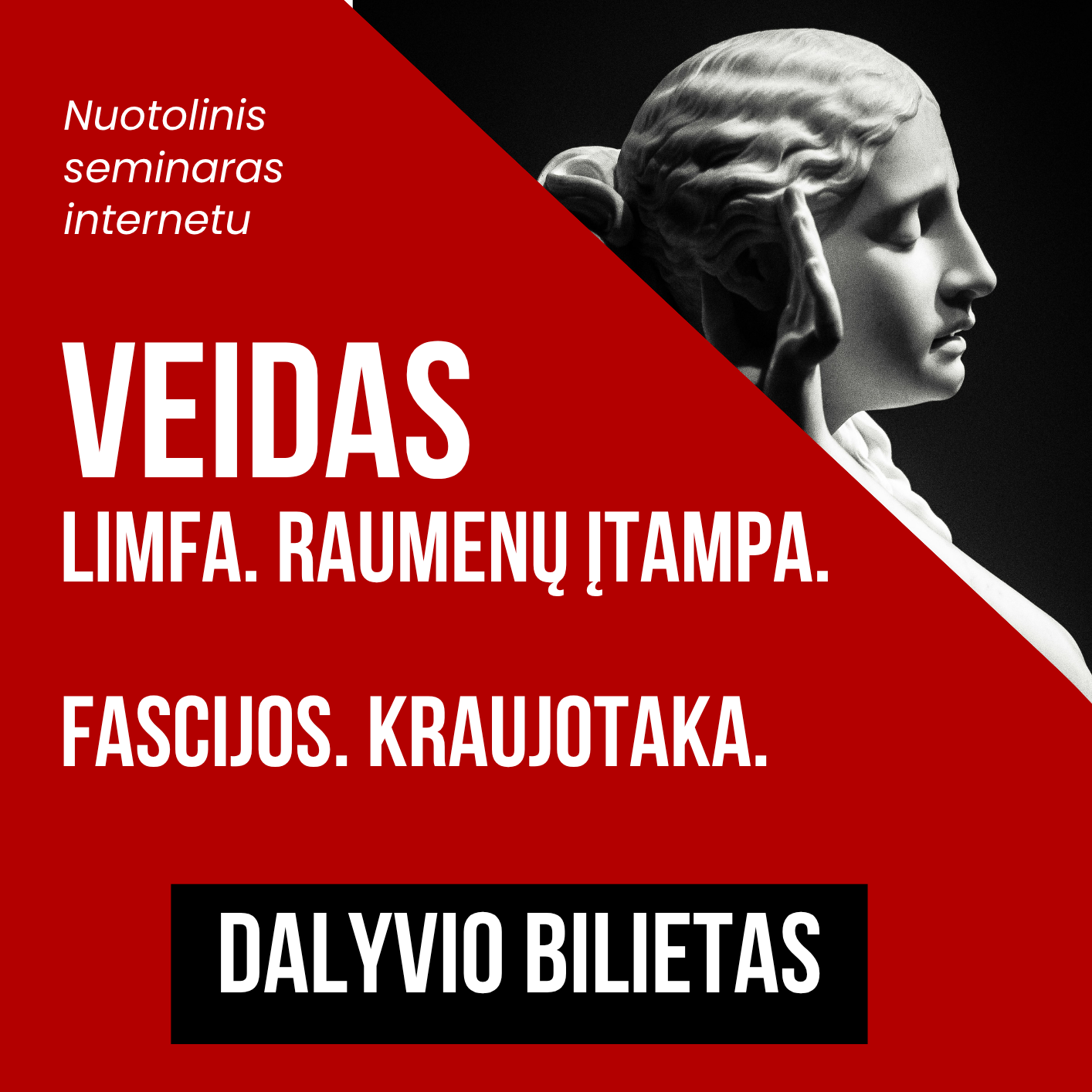 Veido vebinaras - nuotoliniai mokymai
