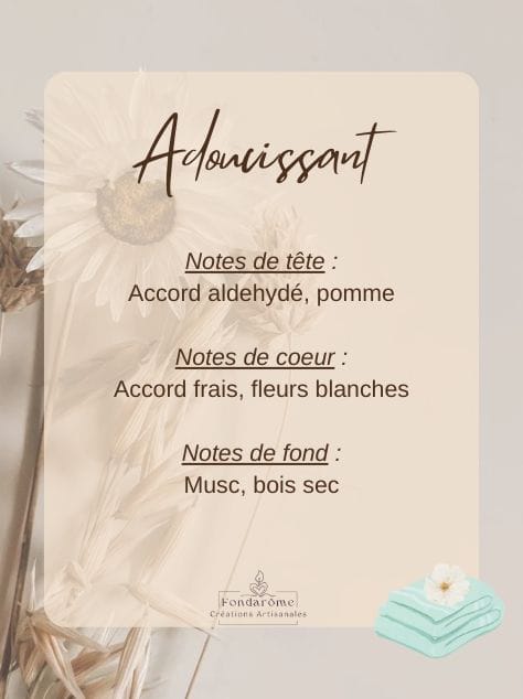 Fondant parfumé solide - Collection Intemporelle
