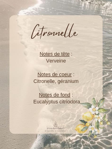 Fondant parfumé solide - Collection Eté