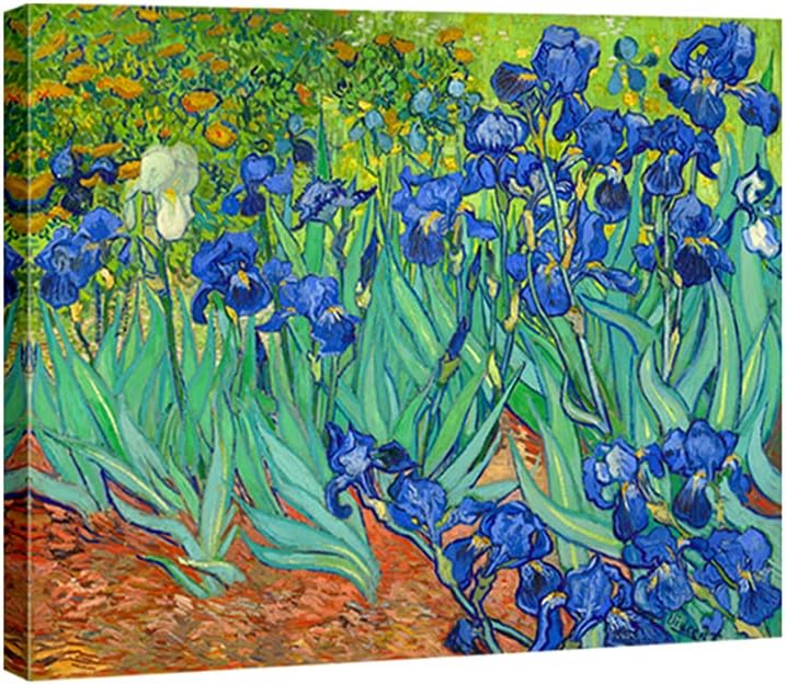 Vincent Van Gogh's Irises Painting Print