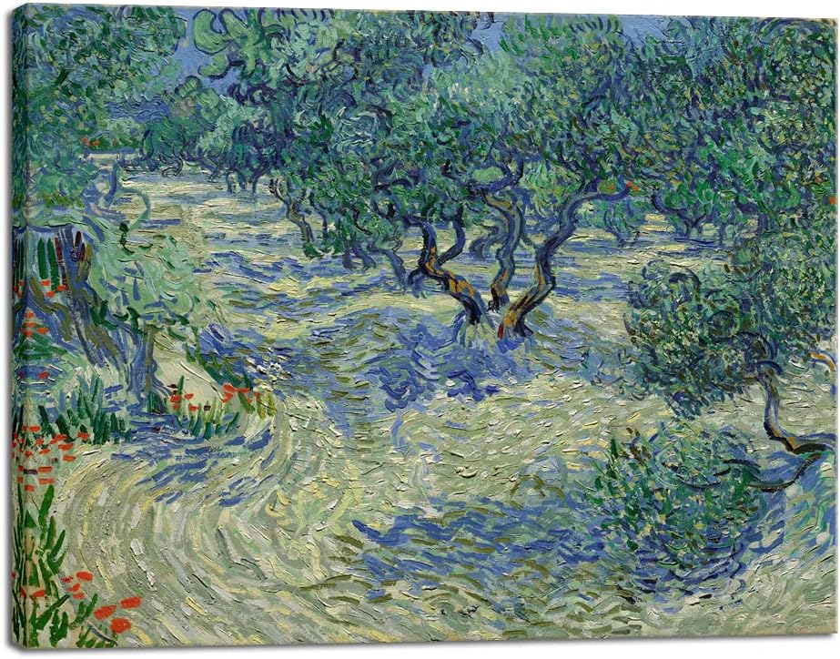 Van Gogh Olive Trees Canvas Print