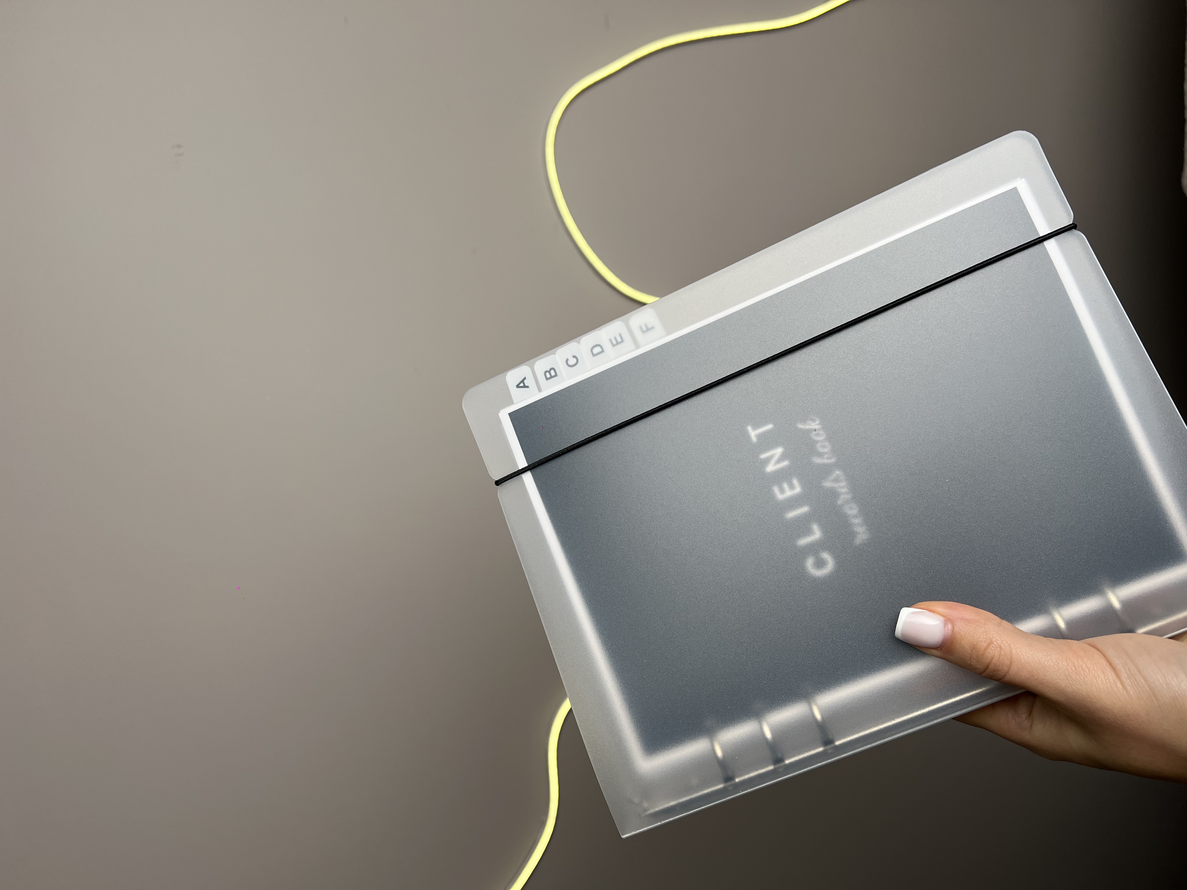 PMU client record book