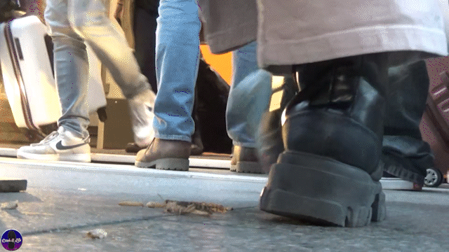 Trainstation Maggots 11