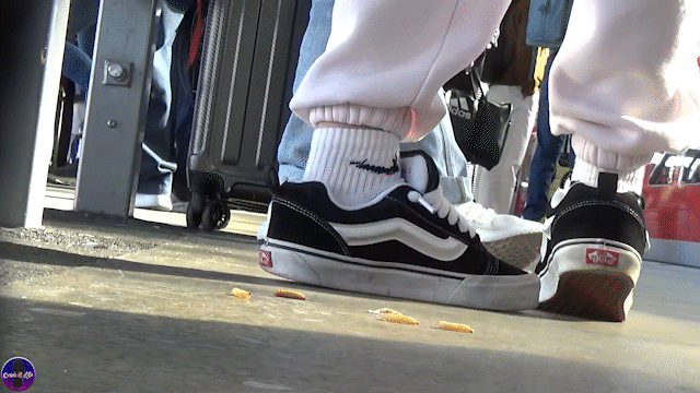 Trainstation Maggots 11