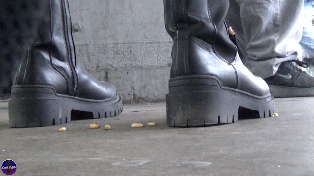 Trainstation Maggots 10