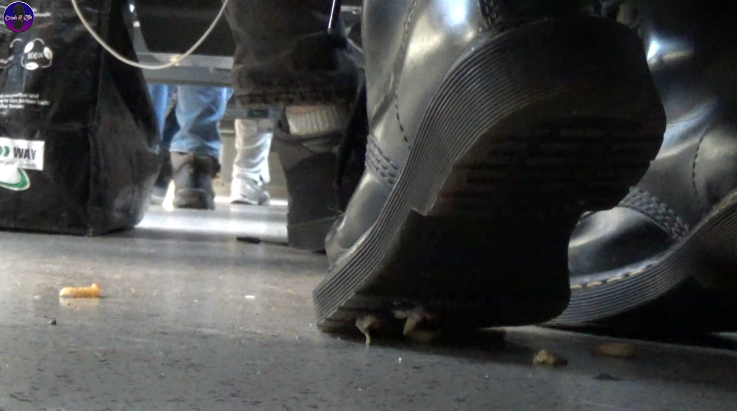 Maggots on a train 03