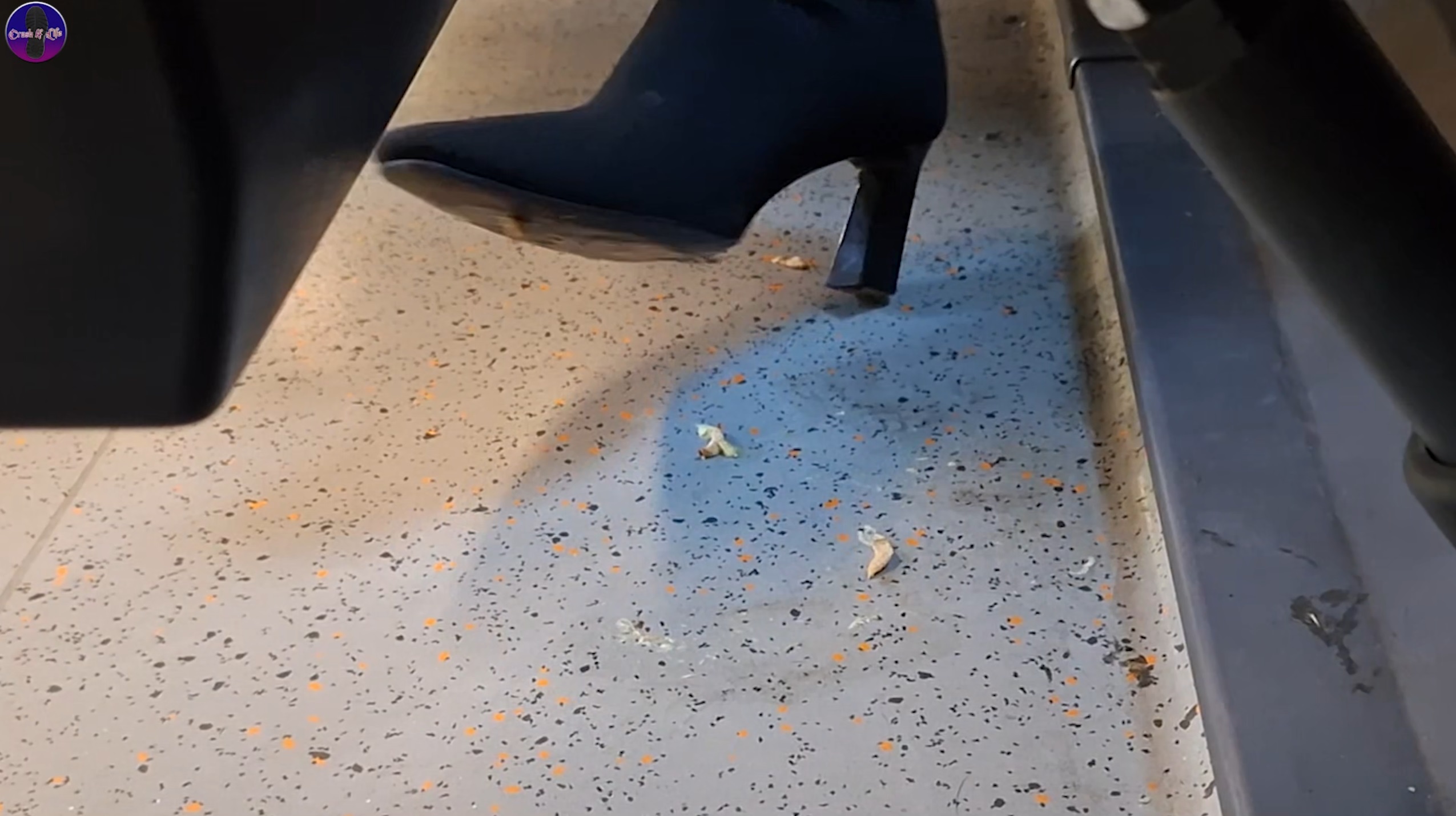 Maggots on a train 03