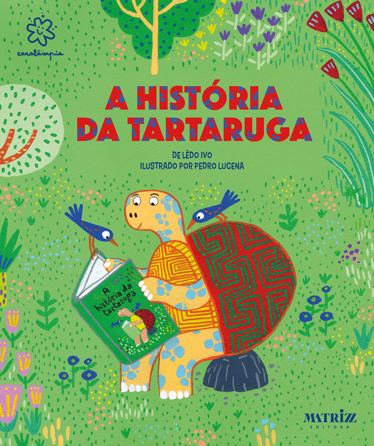 A história da tartaruga