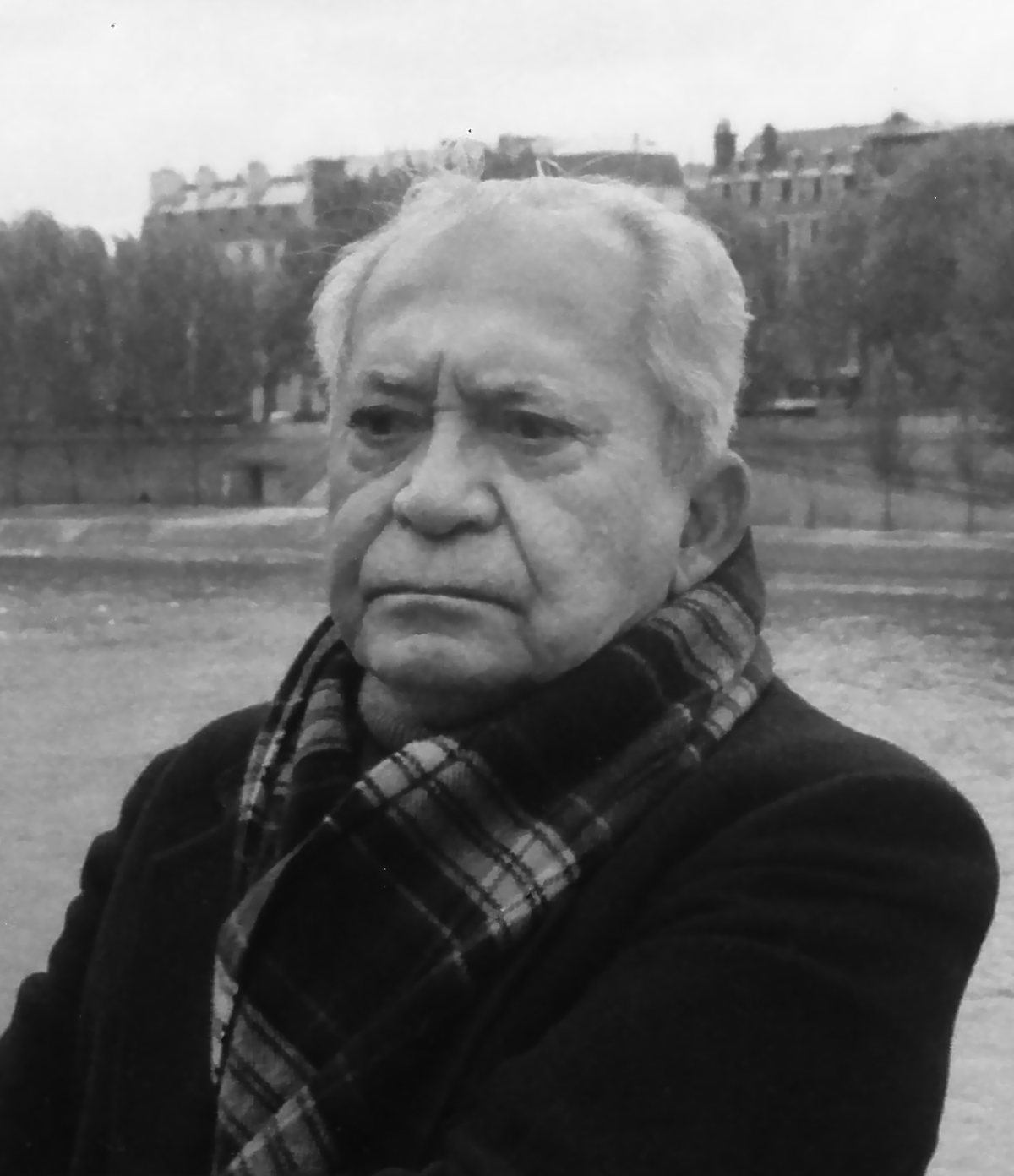 Lêdo Ivo
