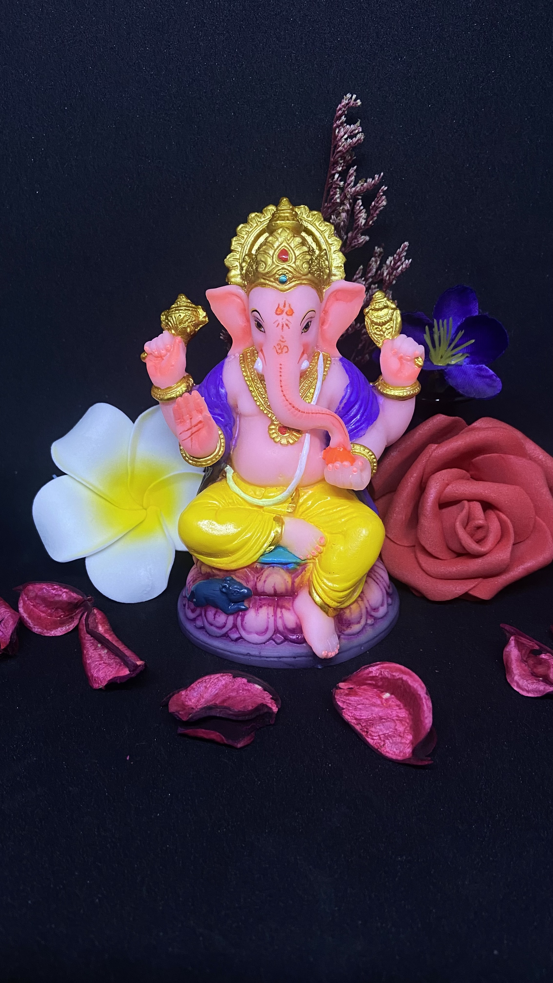 Ganesha idol (71266)