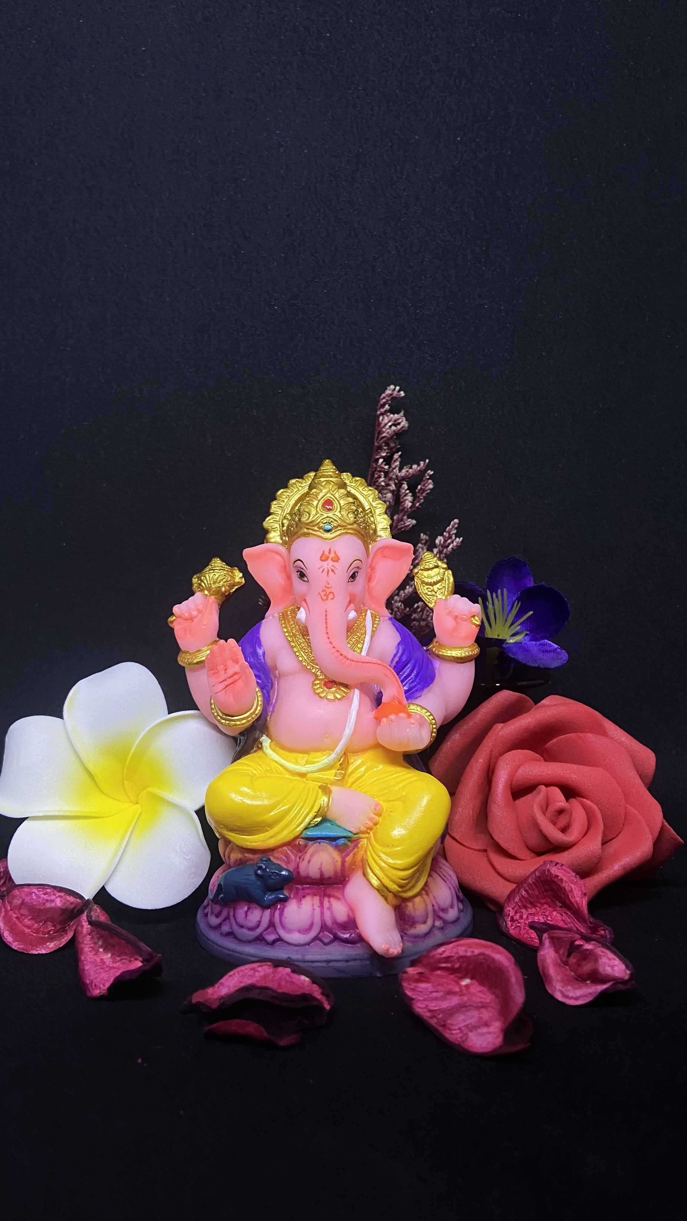 Ganesha idol (71266)