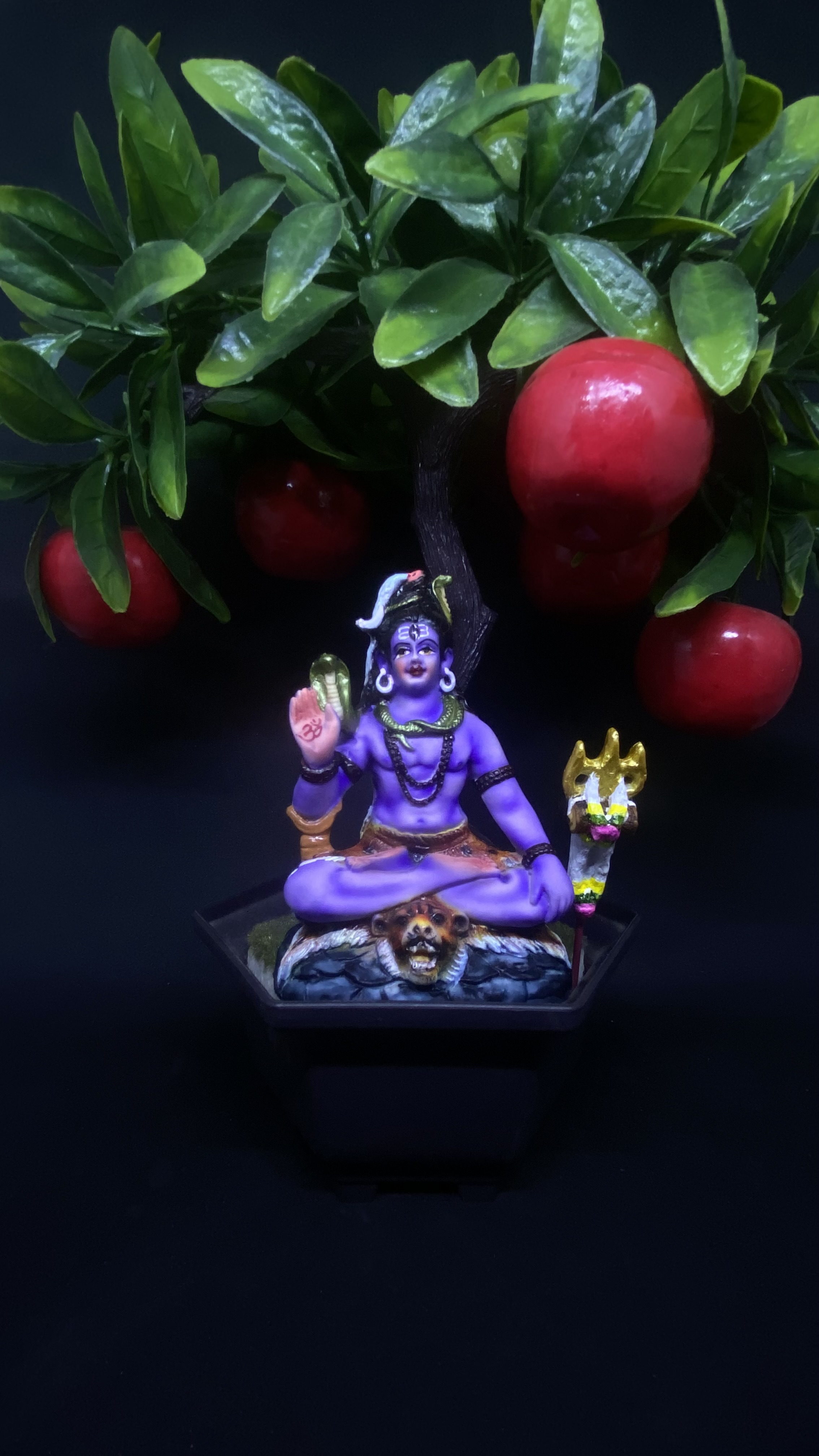 Shankar Bagwan (71270)