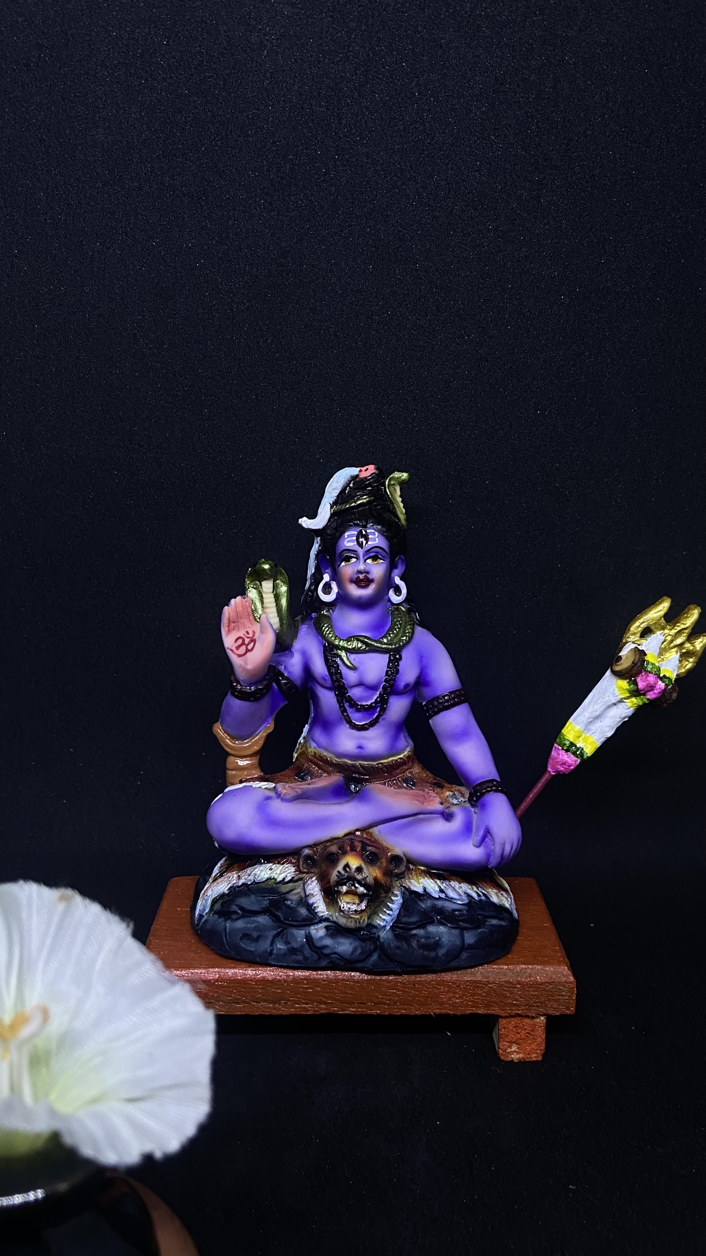 Shankar Bagwan (71270)