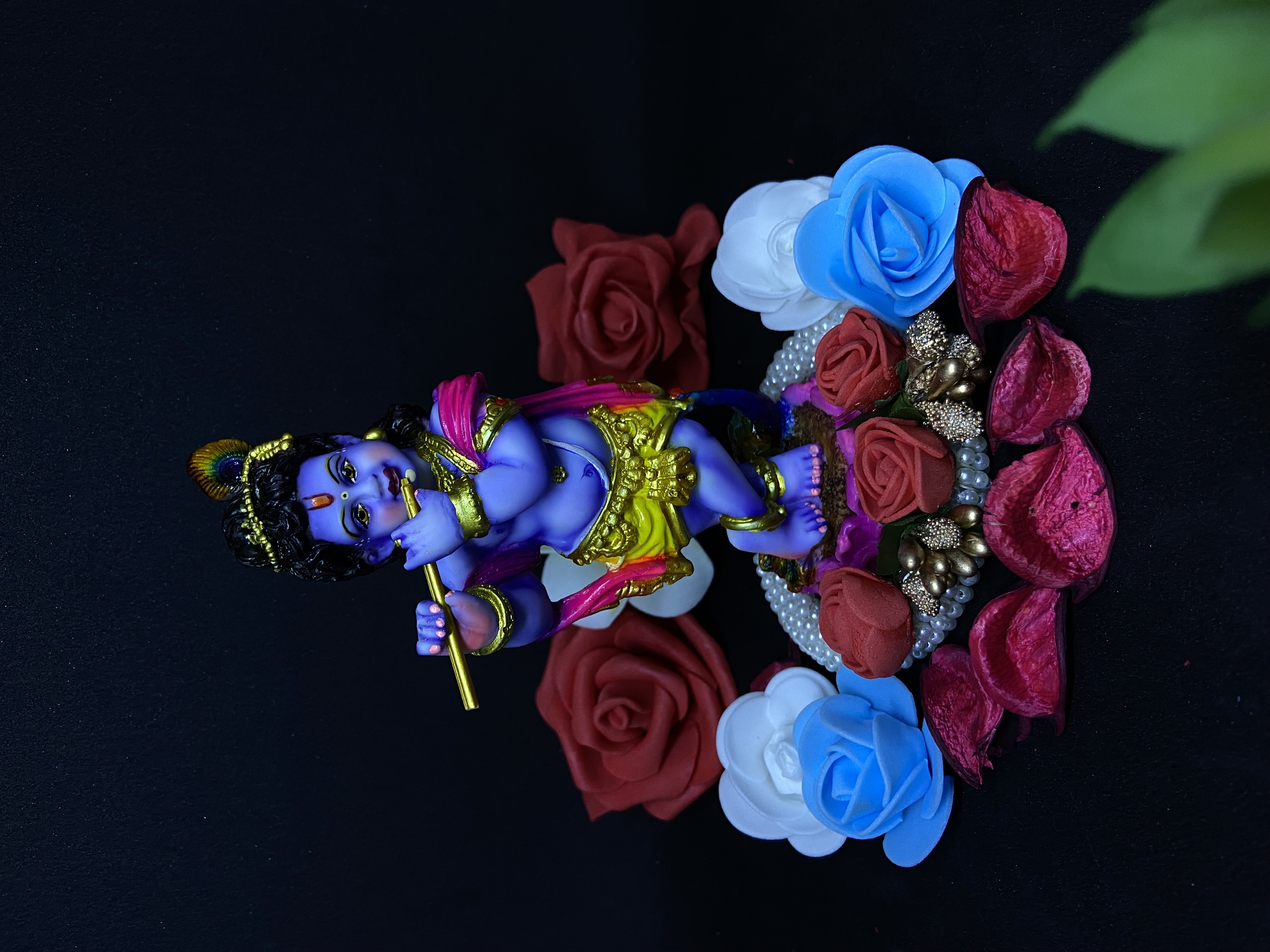 Krishna Bagwan (71280)