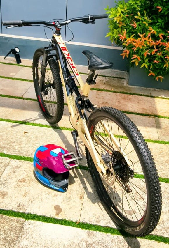 Polygon Siskiu D7 29 Mountain Bike Size-Medium (2020)