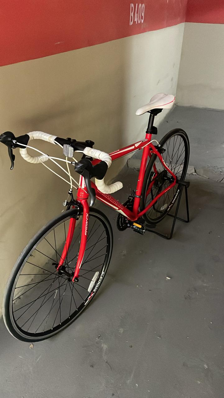 Schwinn Fast Back 3 Size-Medium 2018
