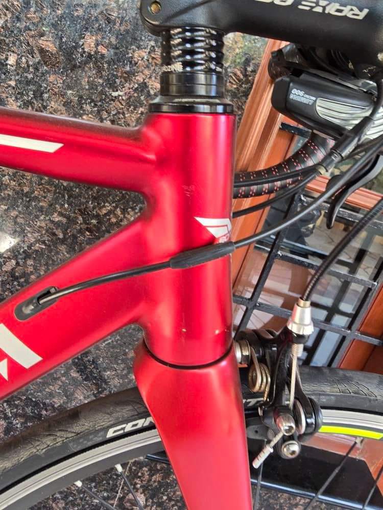Bottechia Duello Road Bike Size-51 cms