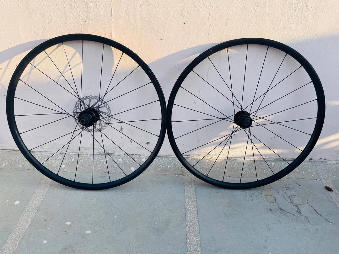 Bontrager Paradigm SL 6-Bolt Disc 24H 700c Road Wheel